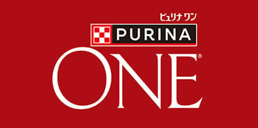 purina-one-dog