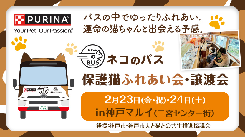 ネコのバス 保護猫譲渡会@神戸マルイ（三宮センター街）