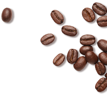 Coffee Bean