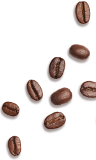 Coffee Bean