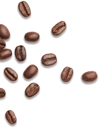 Coffee Bean