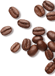 Coffee Bean