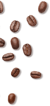 Coffee Bean