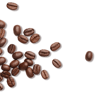 Coffee Bean