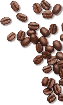 Coffee Bean