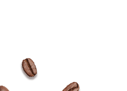 Coffee Bean