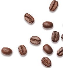Coffee Bean