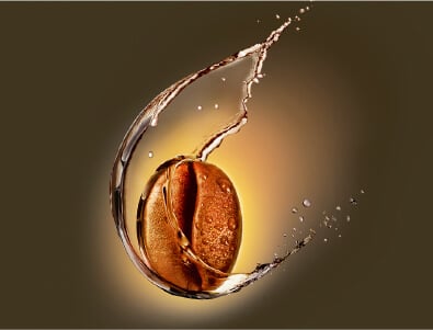 Image Coffee Seed