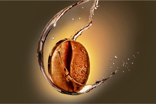 Image Coffee Seed
