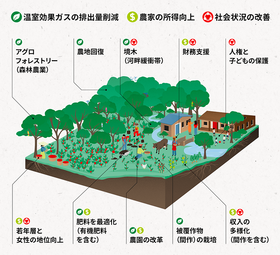 land