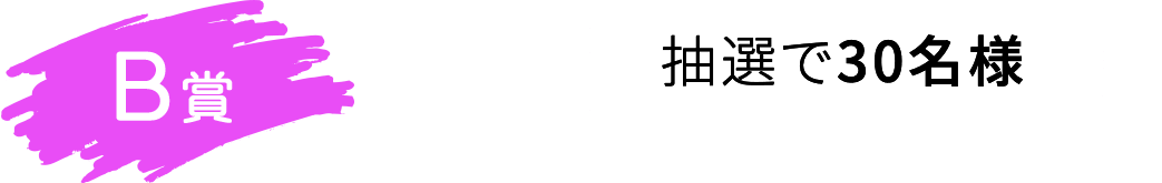 B賞 抽選で30名様
