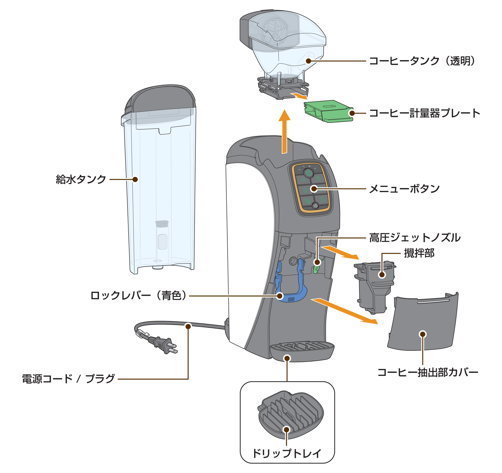 各部の名称とはたらき