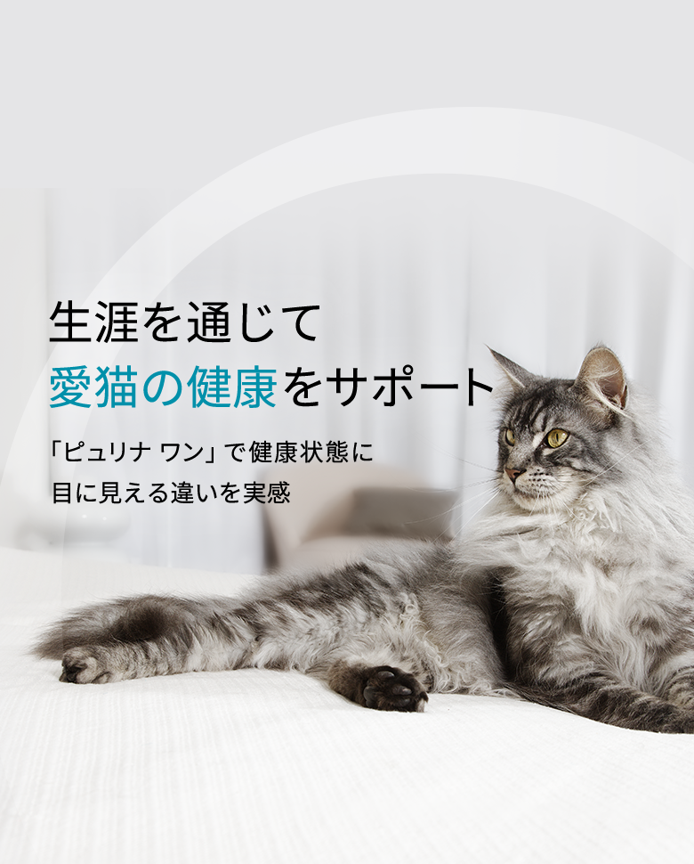 slide-2