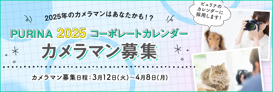 カメラマン募集