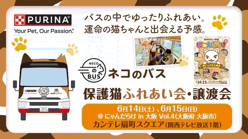 「ネコのバス」保護猫譲渡会@にゃんだらけ in 大阪Vol.4