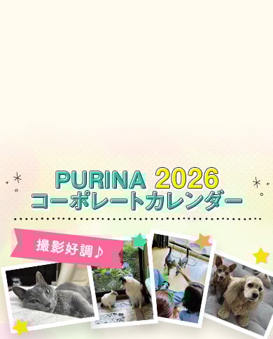 2026年「ピュリナ」カレンダー撮影順調！