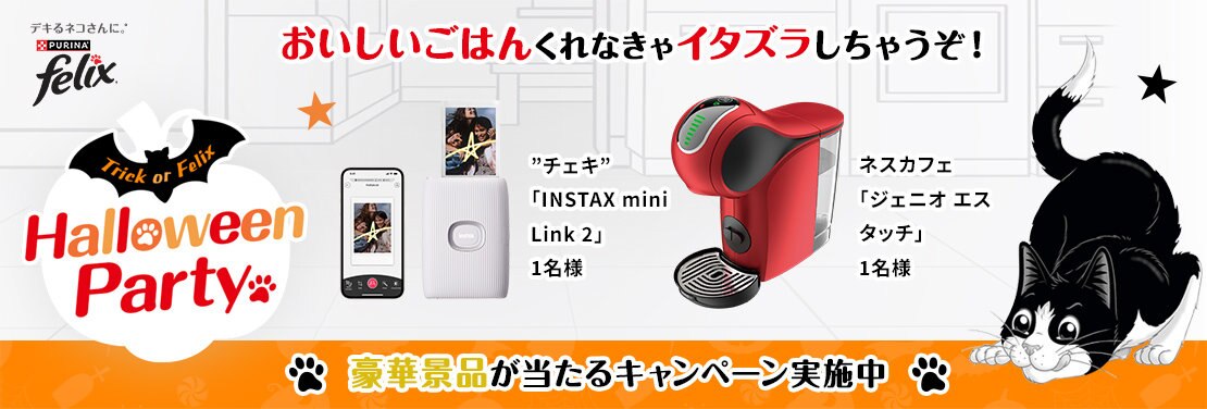 「フィリックス」#デキるネコさん模試 ハロウィン パーティ キャンペーン開催中！お題に沿った写真や動画を投稿して、豪華賞品を当てよう！