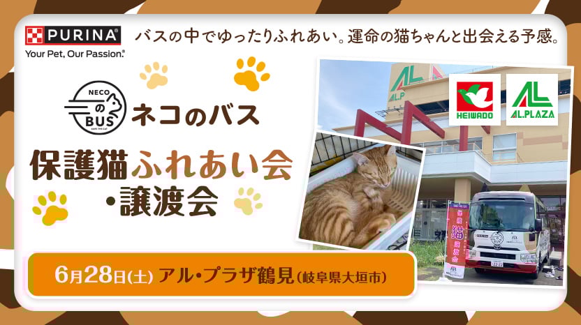 「ネコのバス」保護猫譲渡会@アル・プラザ鶴見