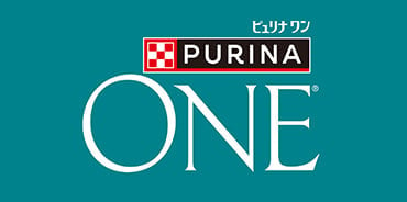purina-one-cat