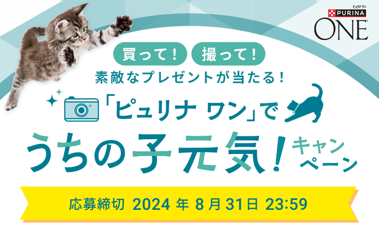 メカダ様ご依頼分ネスレ ピュリナ ワン キャット グレインフリー