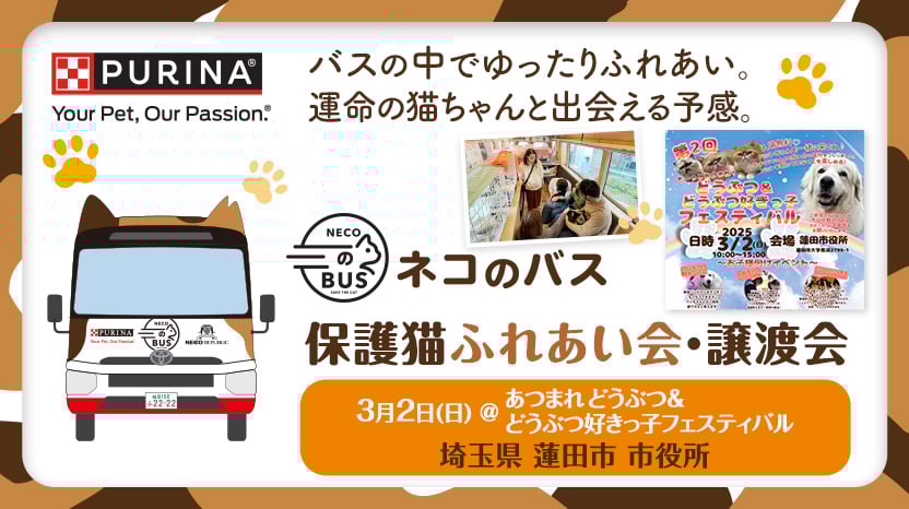 ネコのバス 保護猫譲渡会