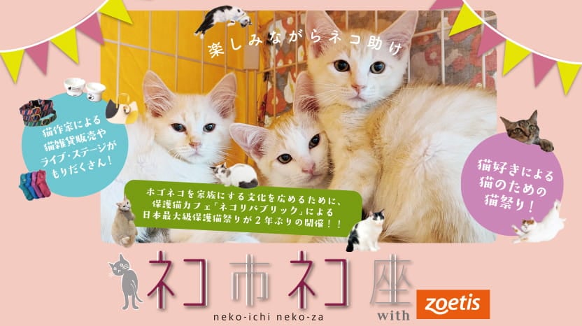 「ネコ市ネコ座」