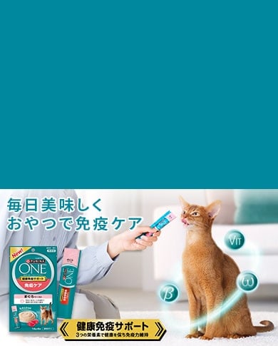 「ピュリナ ワン」健康免疫サポートおやつ新登場