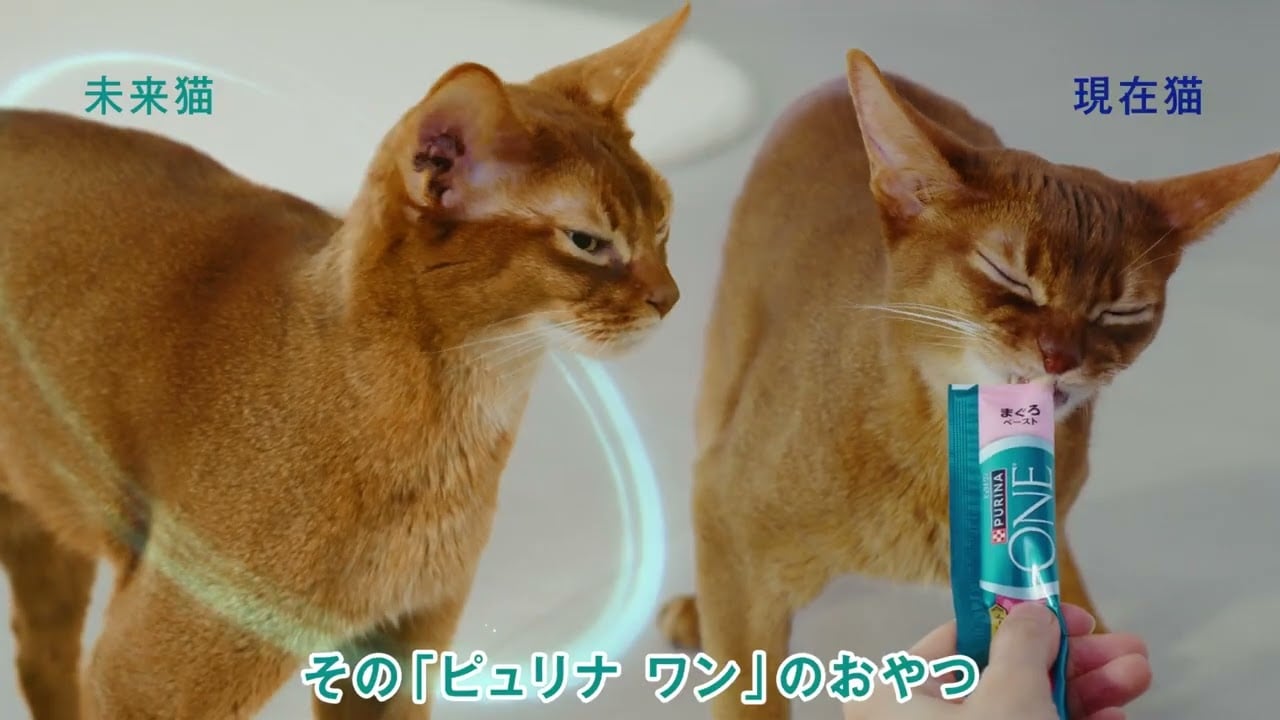 ピュリナ ワン
