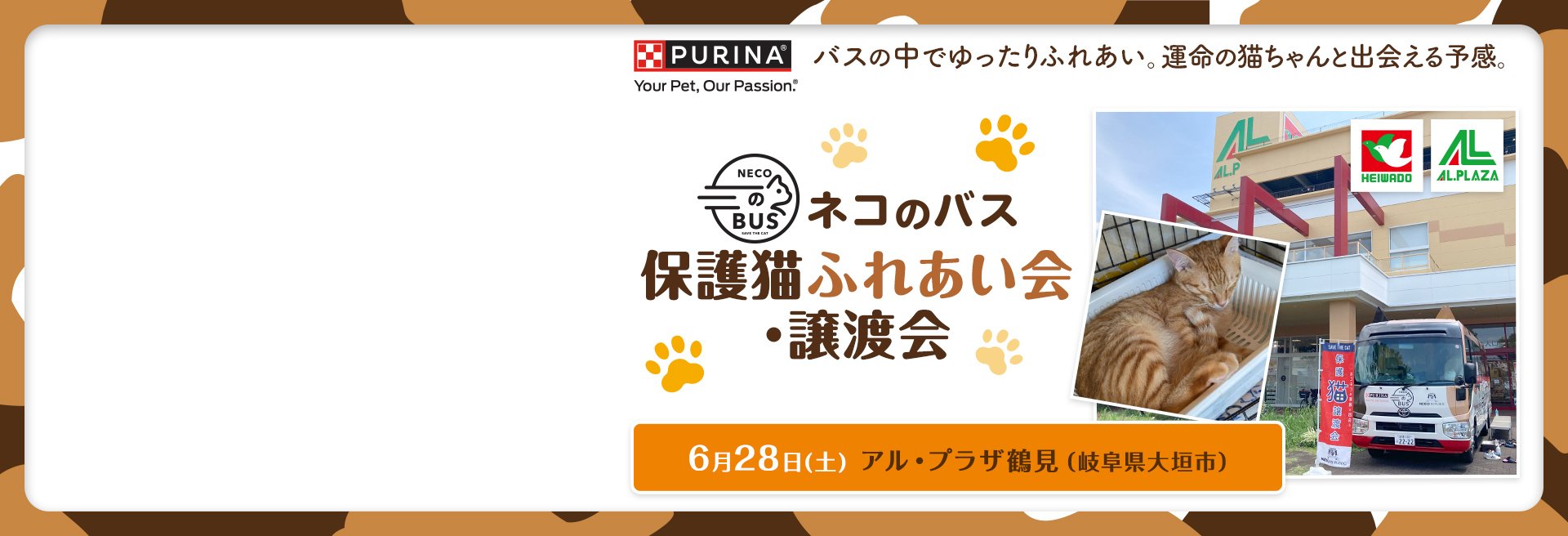 「ネコのバス」保護猫譲渡会