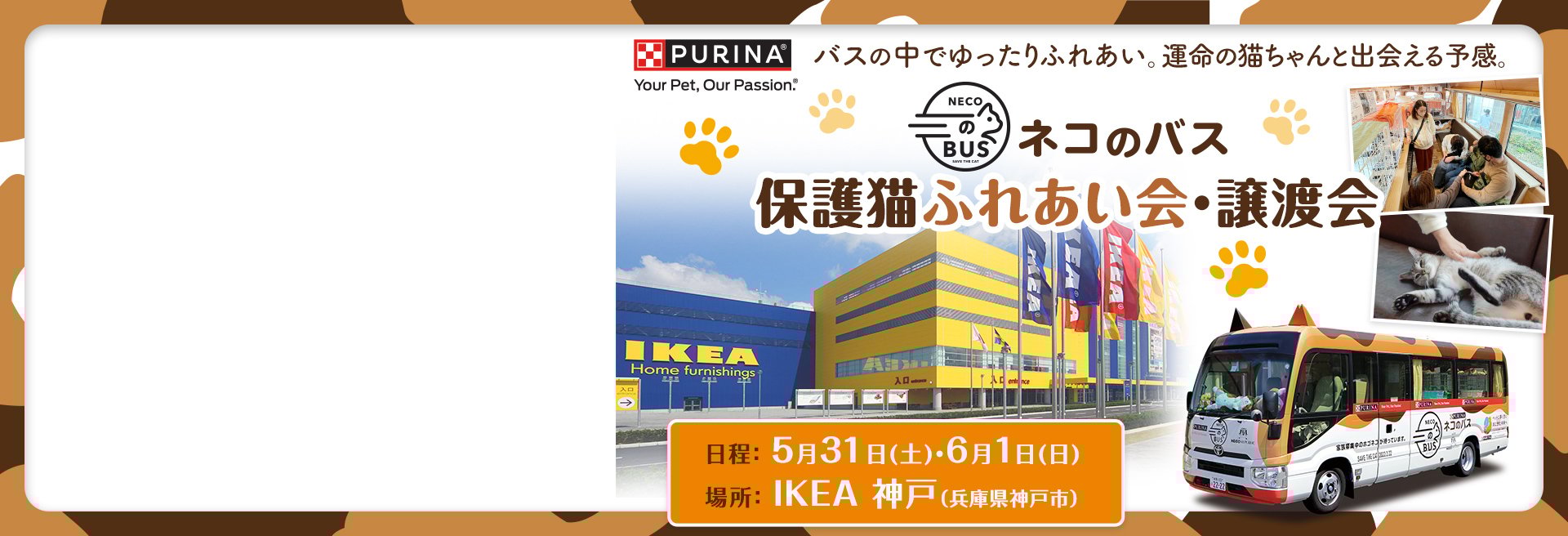 「ネコのバス」保護猫譲渡会