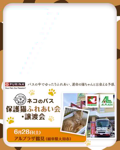 「ネコのバス」保護猫譲渡会