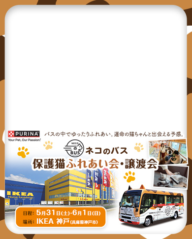 「ネコのバス」保護猫譲渡会