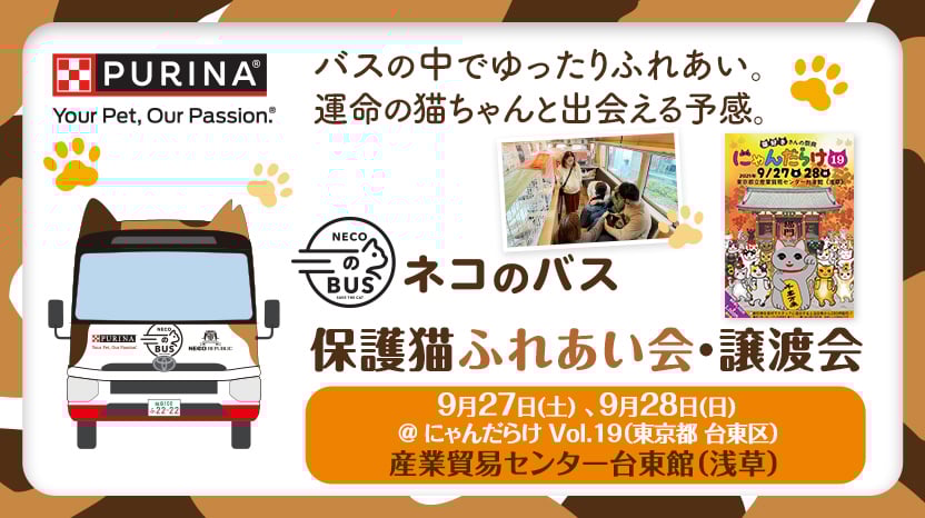 「ネコのバス」保護猫譲渡会@にゃんだらけVol.19（東京 浅草）