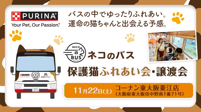 ネコのバス | ピュリナの社会貢献活動 | Purina 公式サイト