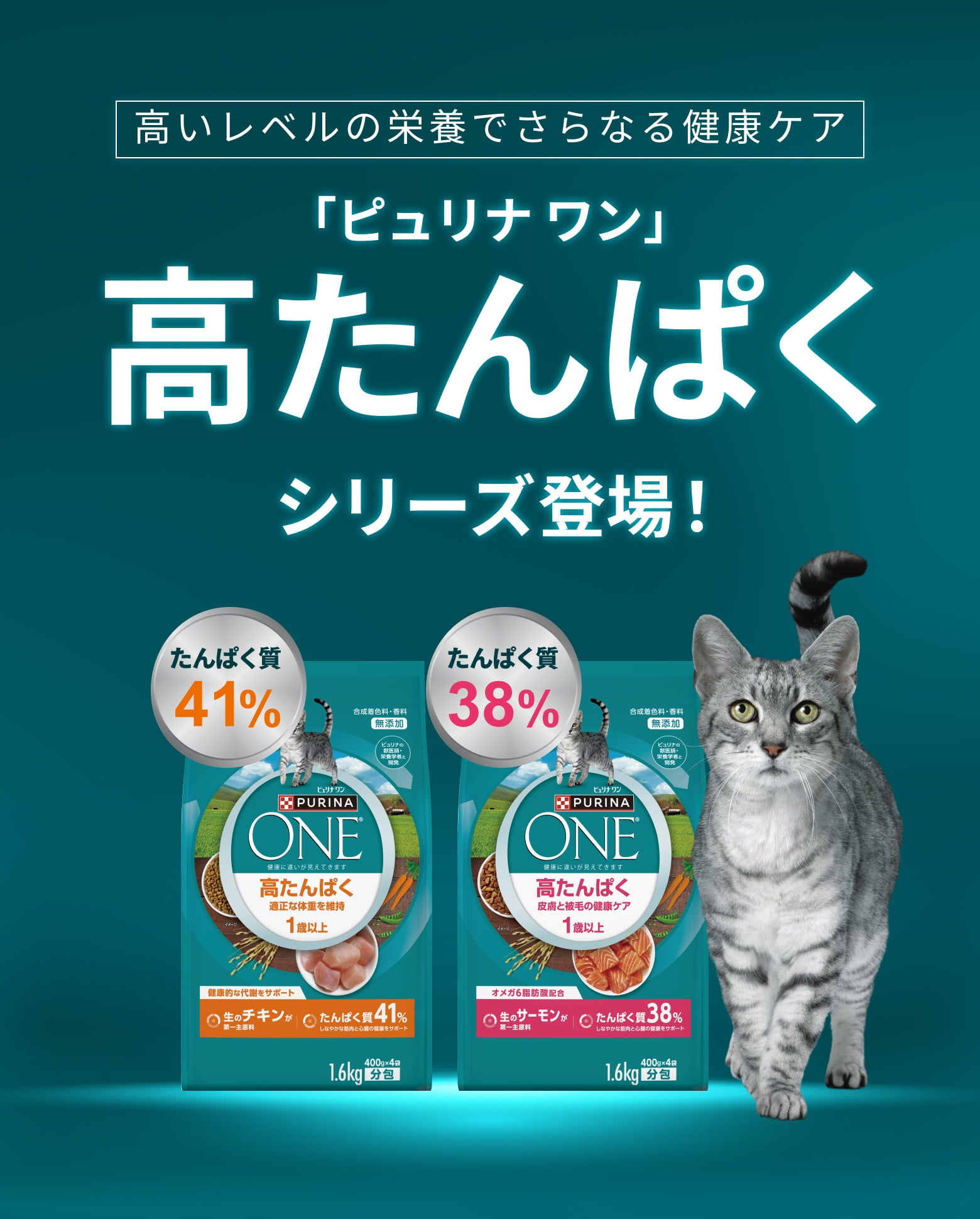 ピュリナ ワン キャット（Purina ONE Cat）公式サイト