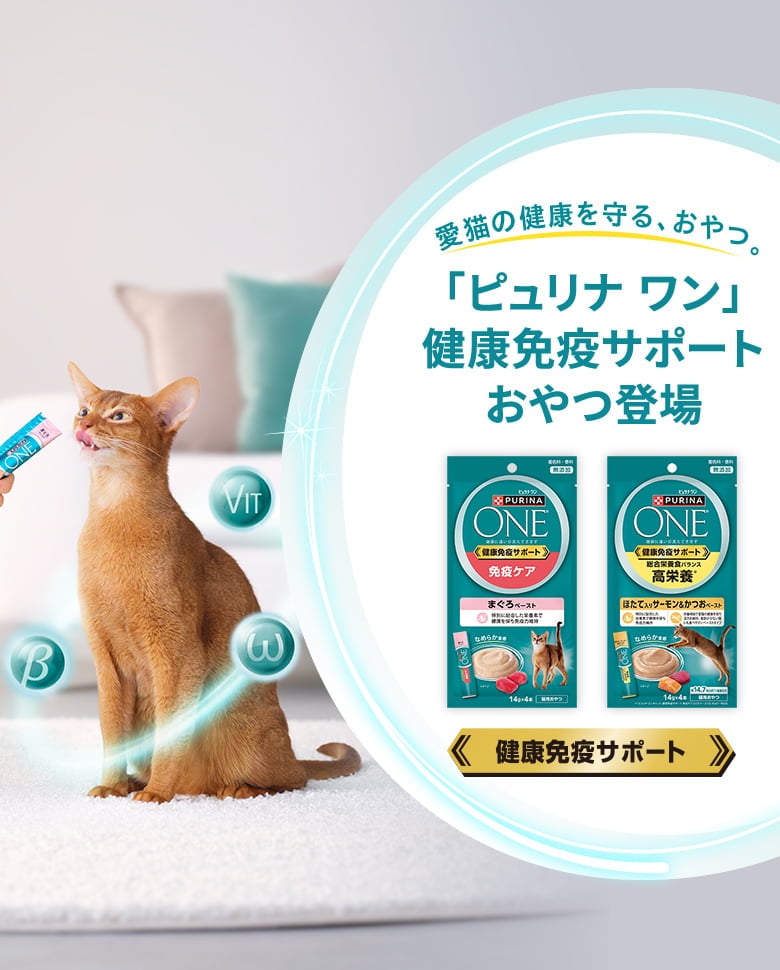 ピュリナ ワン キャット（Purina ONE Cat）公式サイト