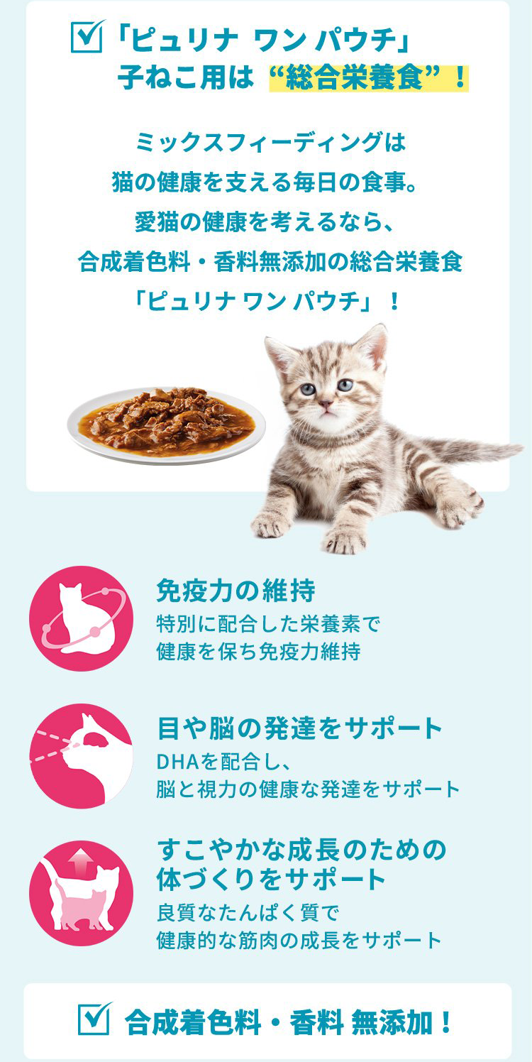 子ねこ用フードの選び方 | コンテンツ | ピュリナ ワン 公式サイト