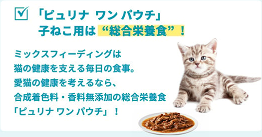 子ねこ用フードの選び方 | コンテンツ | ピュリナ ワン 公式サイト
