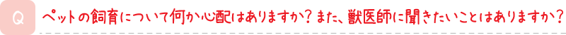 ペットの飼育について何か心配はありますか？また、獣医師に聞きたいことはありますか？
