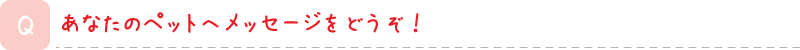 あなたのペットへメッセージをどうぞ！