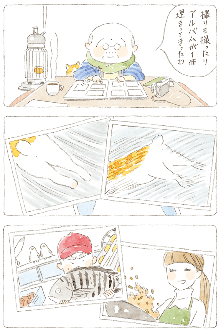 第83話 | ねことじいちゃん | Purina 公式サイト