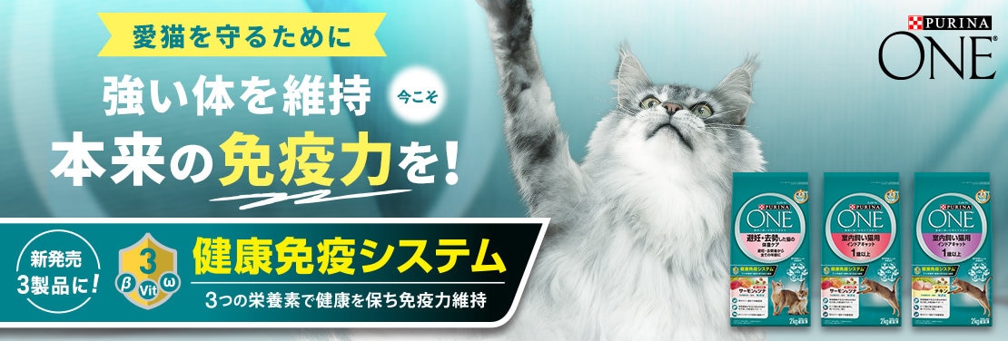 愛猫の免疫、気になりませんか？新発売の3製品に「健康免疫システム」を追加！500円モニターキャンペーンでぜひお試しください！