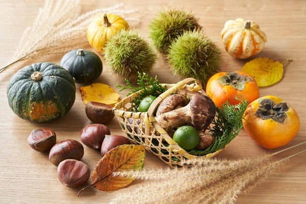 秋にぴったりなおかずやスープの献立人気レシピ10選！料理で秋を感じよう