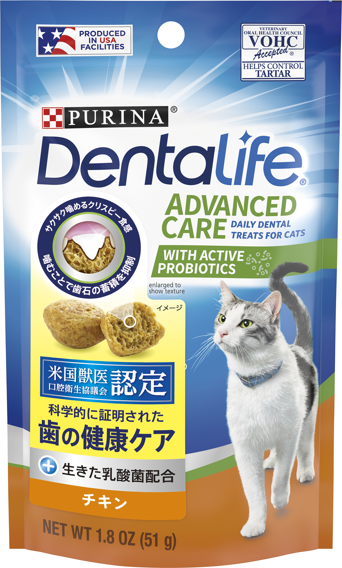 24時間以内発送　ファルミナ　ベーシックキャットチキン&ターキー　 10kg2袋 24時間以内発送 ファルミナ ベーシックキャットチキン&ターキー