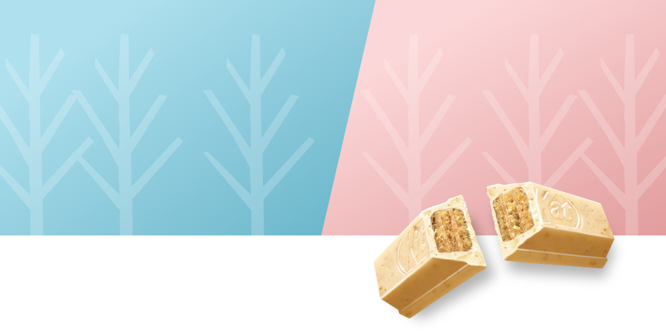 シュガーバターの木 断面図
