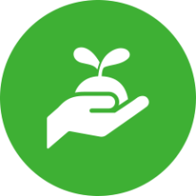 icon3