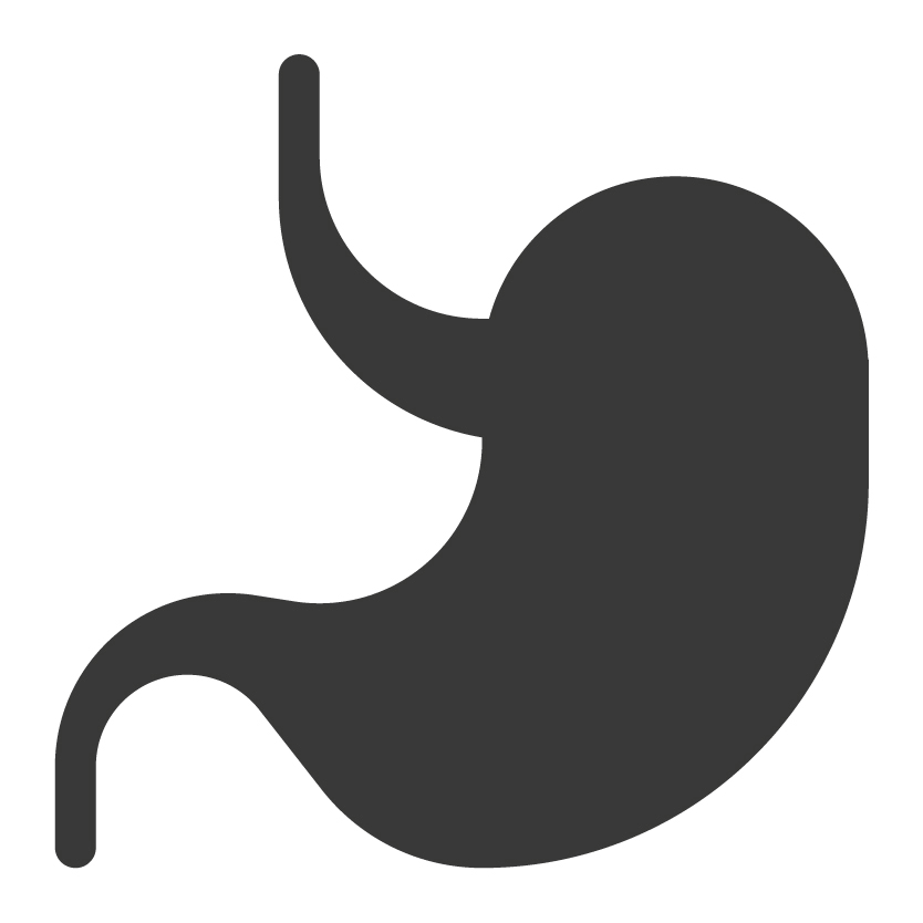 消化に優しい