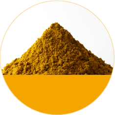 Curry Powder