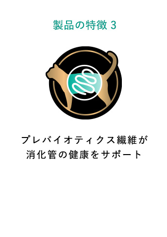 プレバイオティクス繊維が消化管の健康をサポート