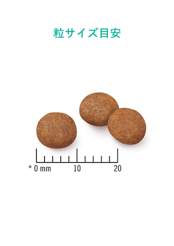 ピュリナ プロプラン EN 消化器ケア 低脂肪 1kg 3袋 ピュリナ プロプラン 消化器ケア 低脂肪 3袋1kg ピュリナ プロ